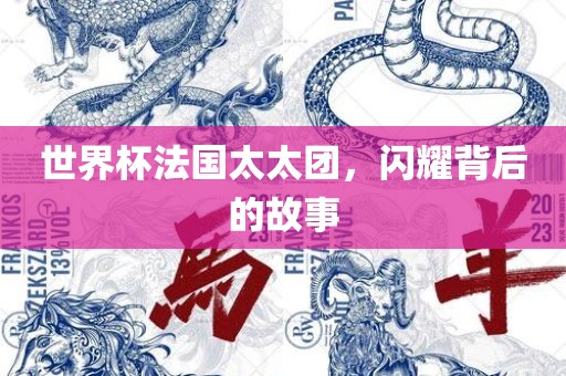 世界杯法国太太团，闪耀背后的故事