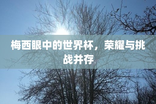梅西眼中的世界杯，荣耀与挑战并存