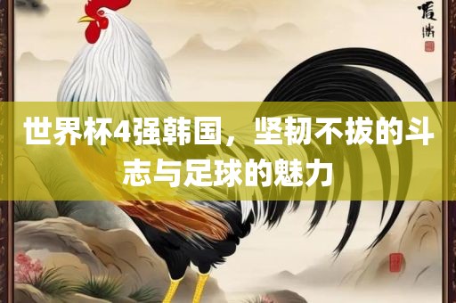 世界杯4强韩国，坚韧不拔的斗志与足球的魅力