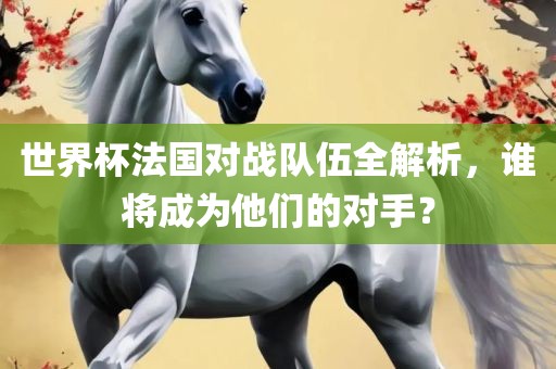 世界杯法国对战队伍全解析，谁将成为他们的对手？