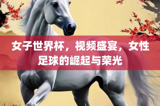 女子世界杯，视频盛宴，女性足球的崛起与荣光