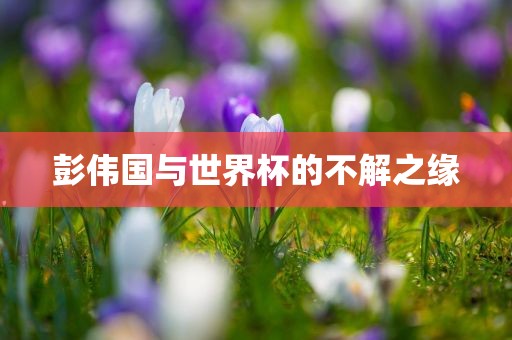 彭伟国与世界杯的不解之缘