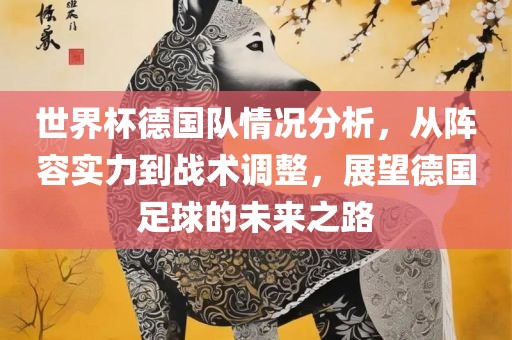 世界杯德国队情况分析，从阵容实力到战术调整，展望德国足球的未来之路