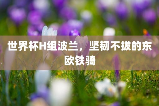 世界杯H组波兰，坚韧不拔的东欧铁骑