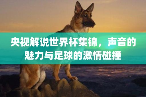 央视解说世界杯集锦，声音的魅力与足球的激情碰撞