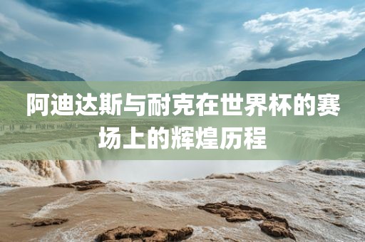 阿迪达斯与耐克在世界杯的赛场上的辉煌历程