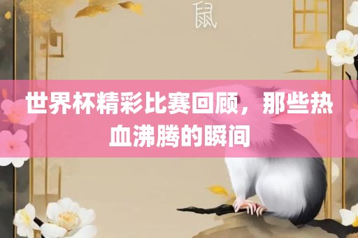 世界杯精彩比赛回顾，那些热血沸腾的瞬间