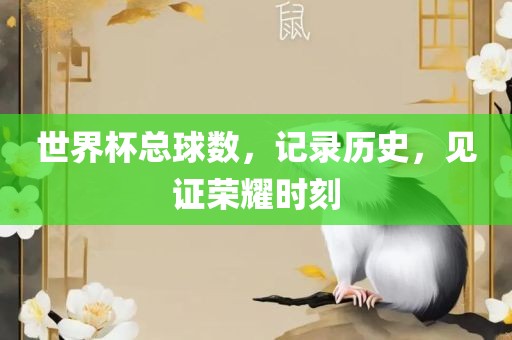 世界杯总球数，记录历史，见证荣耀时刻
