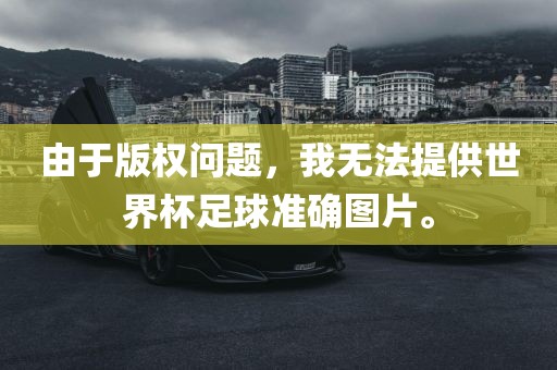 由于版权问题，我无法提供世界杯足球准确图片。