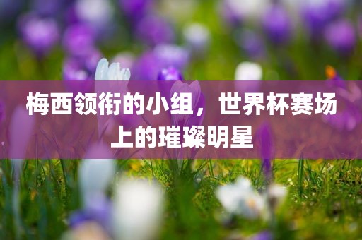 梅西领衔的小组，世界杯赛场上的璀璨明星