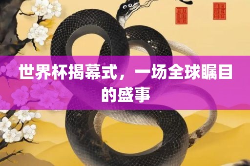 世界杯揭幕式，一场全球瞩目的盛事