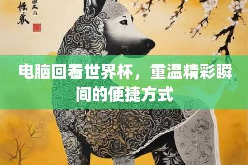 电脑回看世界杯，重温精彩瞬间的便捷方式