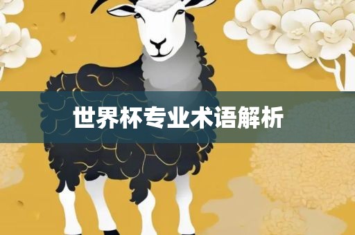世界杯专业术语解析