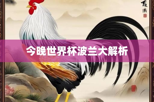 今晚世界杯波兰大解析