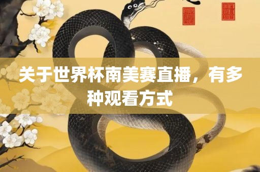 关于世界杯南美赛直播，有多种观看方式