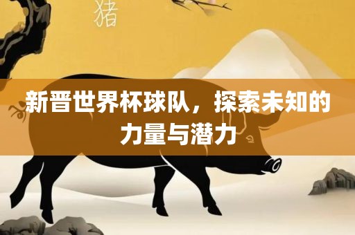 新晋世界杯球队，探索未知的力量与潜力