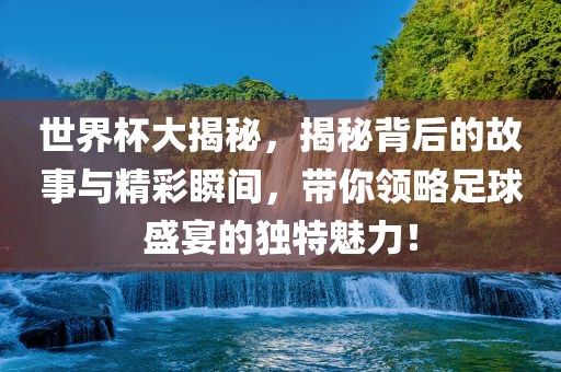 世界杯大揭秘，揭秘背后的故事与精彩瞬间，带你领略足球盛宴的独特魅力！