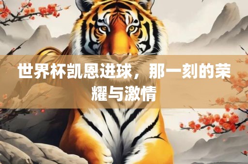 世界杯凯恩进球，那一刻的荣耀与激情