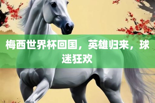 梅西世界杯回国，英雄归来，球迷狂欢