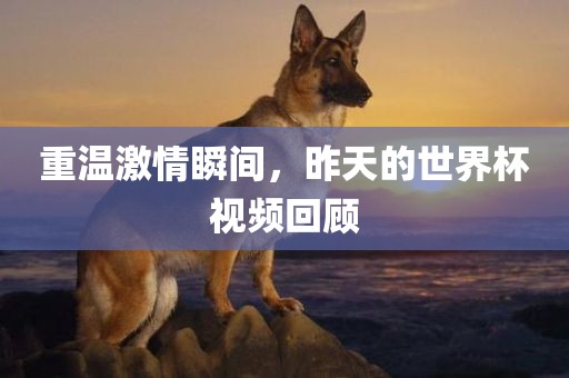 重温激情瞬间，昨天的世界杯视频回顾