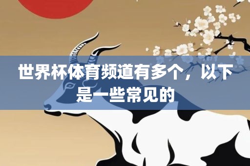 世界杯体育频道有多个，以下是一些常见的
