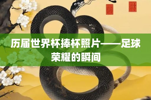 历届世界杯捧杯照片——足球荣耀的瞬间