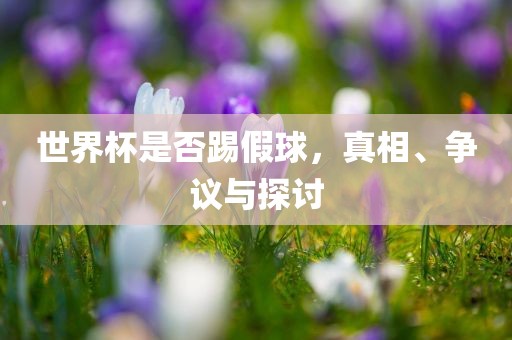世界杯是否踢假球，真相、争议与探讨