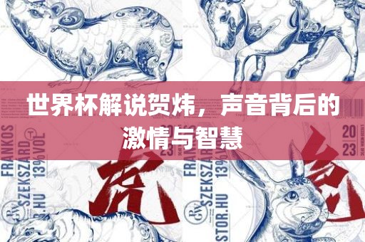 世界杯解说贺炜，声音背后的激情与智慧