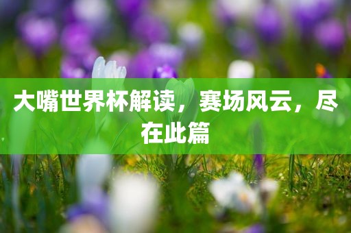 大嘴世界杯解读，赛场风云，尽在此篇