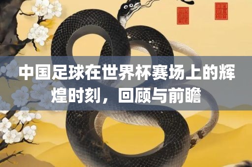 中国足球在世界杯赛场上的辉煌时刻，回顾与前瞻