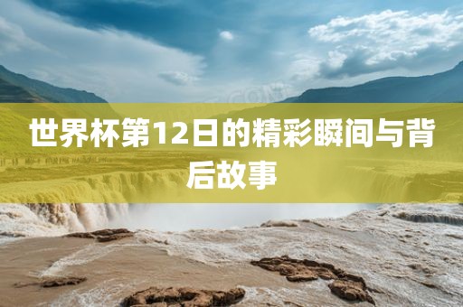世界杯第12日的精彩瞬间与背后故事