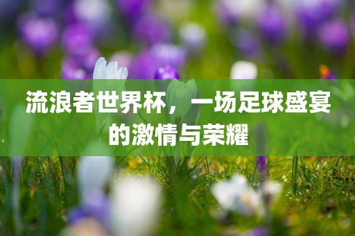 流浪者世界杯，一场足球盛宴的激情与荣耀