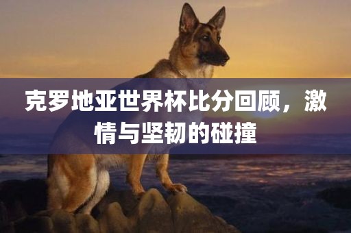 克罗地亚世界杯比分回顾，激情与坚韧的碰撞