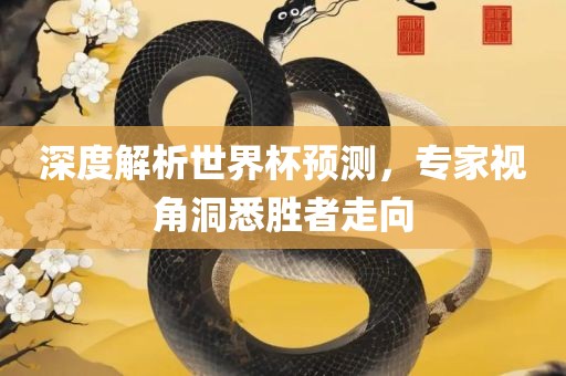 深度解析世界杯预测，专家视角洞悉胜者走向