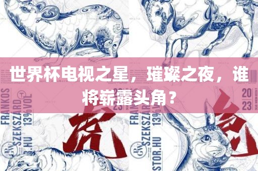 世界杯电视之星，璀璨之夜，谁将崭露头角？