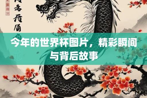 今年的世界杯图片，精彩瞬间与背后故事