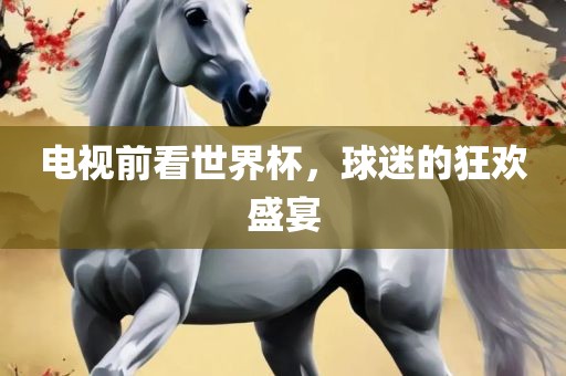 电视前看世界杯，球迷的狂欢盛宴