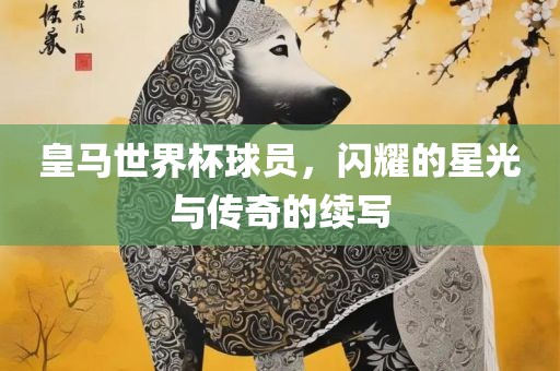 皇马世界杯球员，闪耀的星光与传奇的续写