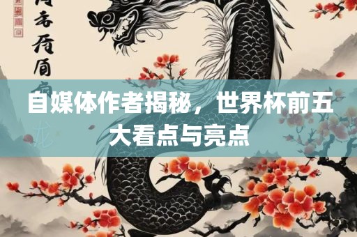 自媒体作者揭秘，世界杯前五大看点与亮点