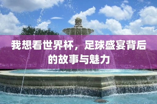 我想看世界杯，足球盛宴背后的故事与魅力