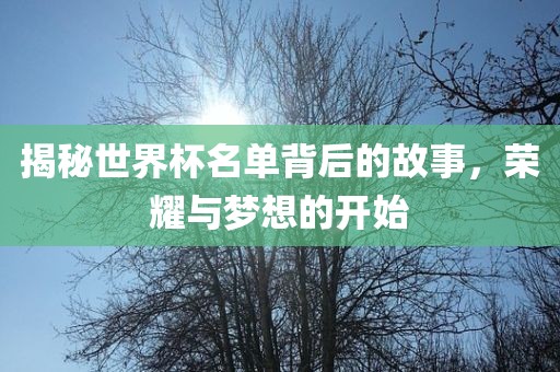 揭秘世界杯名单背后的故事，荣耀与梦想的开始