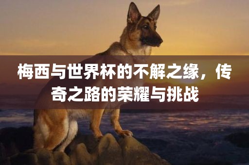 梅西与世界杯的不解之缘，传奇之路的荣耀与挑战