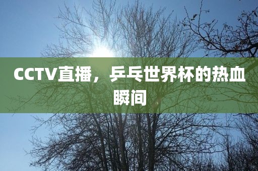 CCTV直播，乒乓世界杯的热血瞬间