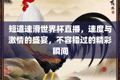 短道速滑世界杯直播，速度与激情的盛宴，不容错过的精彩瞬间