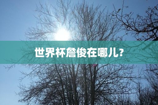 世界杯詹俊在哪儿？
