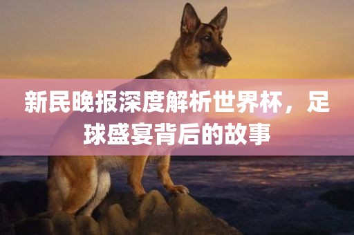 新民晚报深度解析世界杯，足球盛宴背后的故事