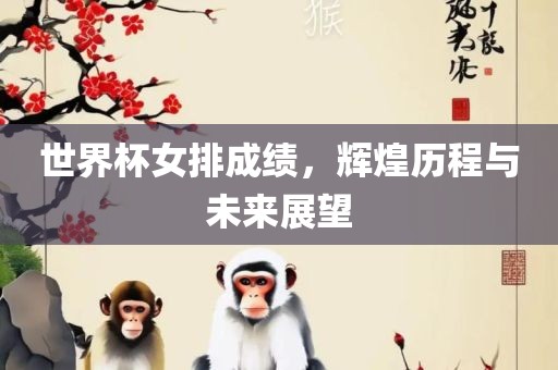 世界杯女排成绩，辉煌历程与未来展望