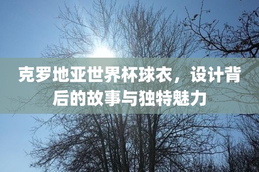 克罗地亚世界杯球衣，设计背后的故事与独特魅力