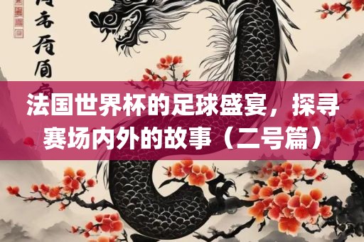 法国世界杯的足球盛宴，探寻赛场内外的故事（二号篇）