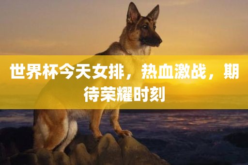 世界杯今天女排，热血激战，期待荣耀时刻